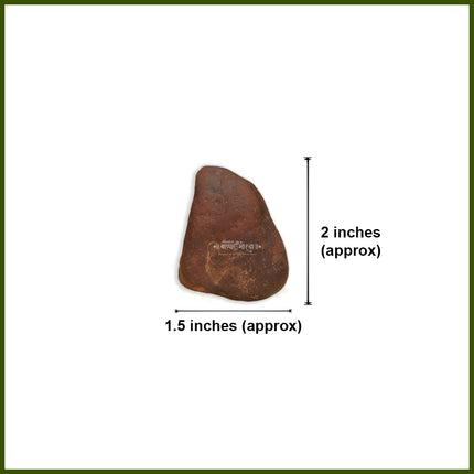 Divine Shiv Shila – Sacred Stone of Lord Shiva for Energy, Protection, and Spiritual Harmony ( 2.5 INCH HEIGHT)