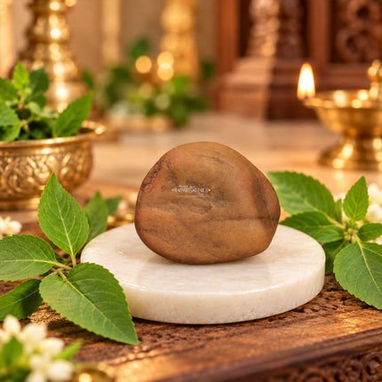 दिव्य शिव शिला – ऊर्जा, संरक्षण आणि आध्यात्मिक सामंजस्यासाठी भगवान शंकराचा पवित्र दगड | पूजा, ध्यान आणि गृह मंदिराच्या सजावटीसाठी नैसर्गिक पवित्र शाळीग्राम