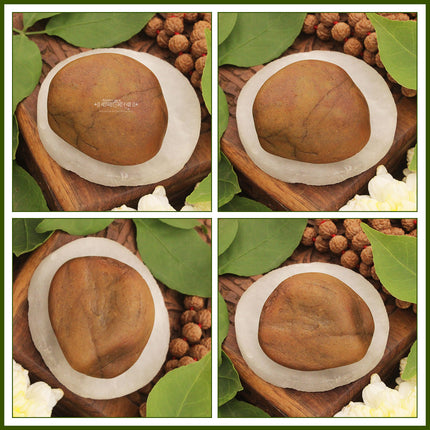दिव्य शिव शिला – ऊर्जा, संरक्षण आणि आध्यात्मिक सामंजस्यासाठी भगवान शंकराचा पवित्र दगड | पूजा, ध्यान आणि गृह मंदिराच्या सजावटीसाठी नैसर्गिक पवित्र शाळीग्राम