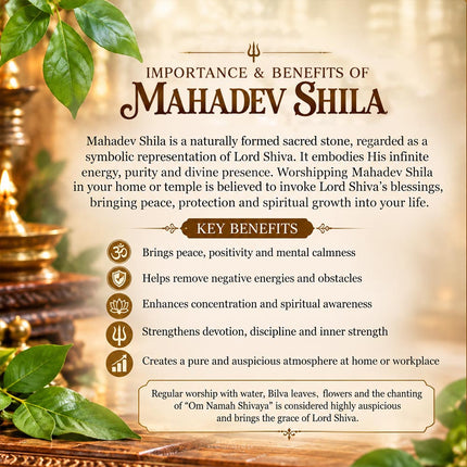 दिव्य शिव शिला – ऊर्जा, संरक्षण आणि आध्यात्मिक सामंजस्यासाठी भगवान शंकराचा पवित्र दगड | पूजा, ध्यान आणि गृह मंदिराच्या सजावटीसाठी नैसर्गिक पवित्र शाळीग्राम