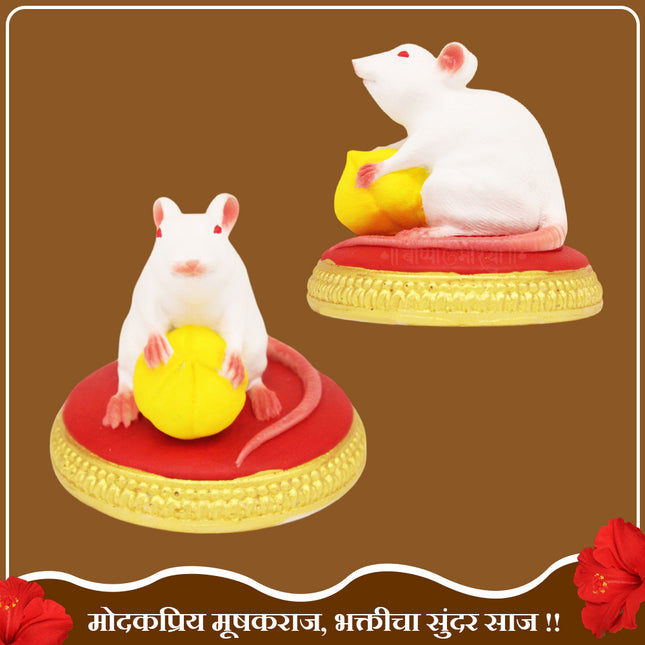 Ganesh Chaturthi Special Lord Ganesha's Vahan (Vehical )Undir Mama (Rat)Mushak Raj Idol for Blessings, Wealth & Positive Energy श्री गणेशाचे दिव्य वाहन Mooshak Musha  घरगुती पूजा, देवघर, मंदिर, गणेशोत्सव व आध्यात्मिक सजावटीसाठी(2.5 inch Height)