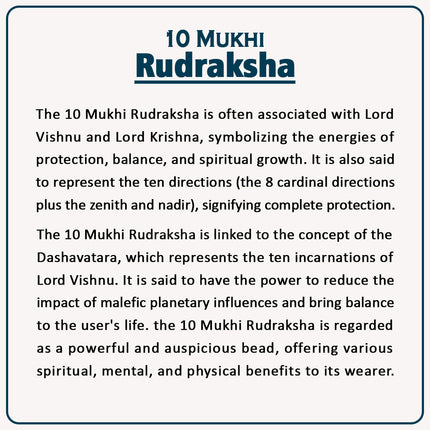 10 Mukhi Rudraksha Prayer Beads Dashmukhi Rudrakshaa  Natural Ten Mukhi Rudrakshas