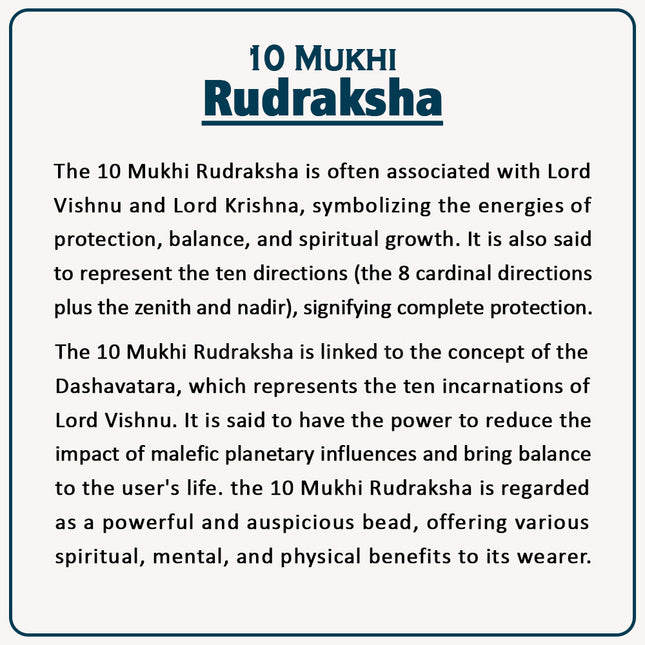 10 Mukhi Rudraksha Prayer Beads Dashmukhi Rudrakshaa  Natural Ten Mukhi Rudrakshas