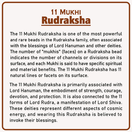 Original 11 Mukhi Rudraksha Bead | Eleven Face Rudraksha Symbol of Lord Hanuman for Courage, Protection & Spiritual Growth