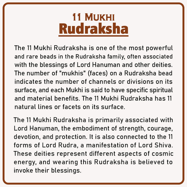 Original 11 Mukhi Rudraksha Bead | Eleven Face Rudraksha Symbol of Lord Hanuman for Courage, Protection & Spiritual Growth