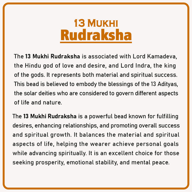 Original 13 Mukhi Rudraksha Bead | Thirteen Face Rudraksha Symbol of Lord Indra for Leadership, Protection & Prosperity