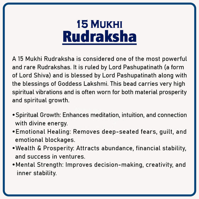 15 Mukhi Rudraksha – Sacred Bead of Lord Pashupatinath for Love, Healing, and Spiritual Growth | Original Natural Rudraksha from Nepal