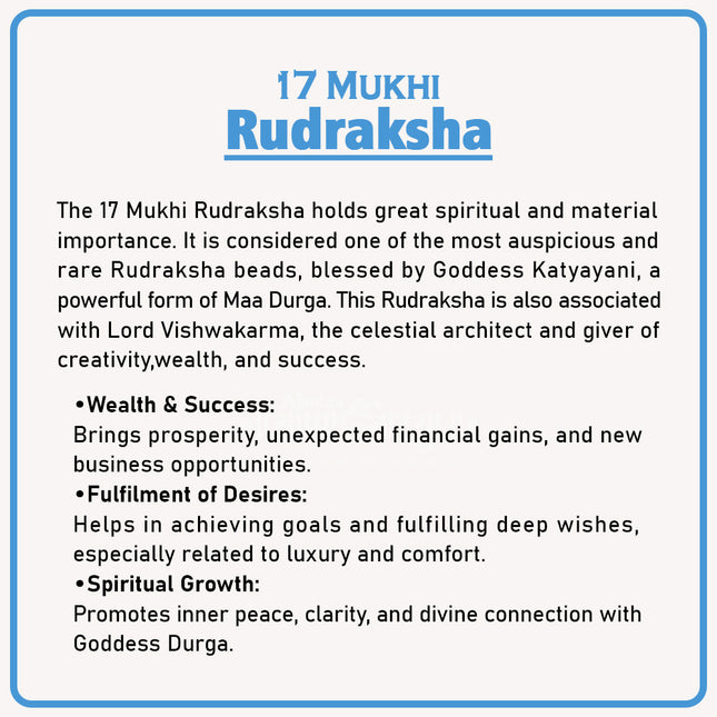 17 Mukhi Rudraksha – Divine Bead of Lord Vishvakarma & Goddess Katyayani for Prosperity, Success & Fulfillment | Genuine Natural Rudraksha for Courage, Wisdom & Protection