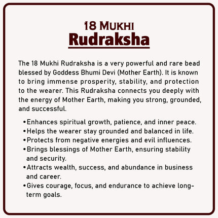18 Mukhi Rudraksha – Sacred Bead of Goddess Bhumi Devi (Earth Goddess) for Prosperity, Stability & Protection | Genuine Natural Rudraksha for Success & Growth