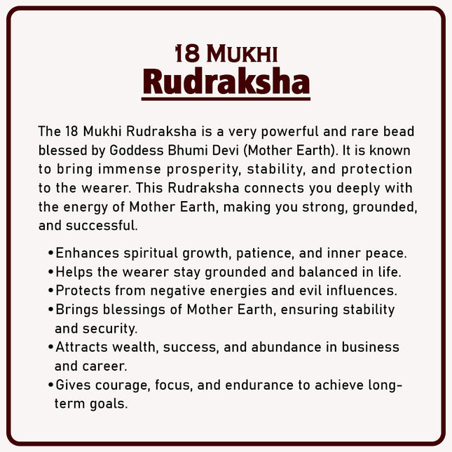 18 Mukhi Rudraksha – Sacred Bead of Goddess Bhumi Devi (Earth Goddess) for Prosperity, Stability & Protection | Genuine Natural Rudraksha for Success & Growth