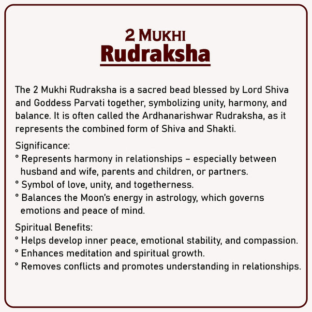 Two Mukhi Kaju Rudraksha Original 2 Mukhi Rudraksh/Natural 2 faced Rudraksha (Brown)