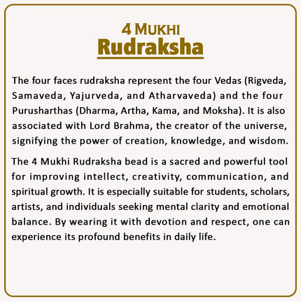 Natural 4 Mukhi Rudraksha Bead – Meditation, Knowledge & Spiritual Energy 4 Mukhi Rudraksha – Empower Your Mind, Creativity & Wisdom