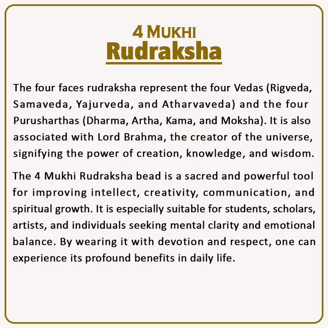 Natural 4 Mukhi Rudraksha Bead – Meditation, Knowledge & Spiritual Energy 4 Mukhi Rudraksha – Empower Your Mind, Creativity & Wisdom