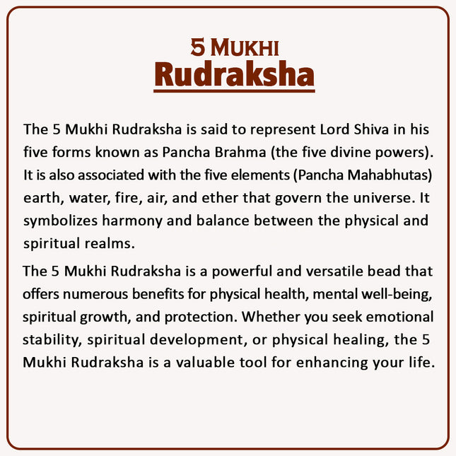 5 Mukhi Rudraksha – Blessed by Lord Shiva | Authentic 18-20mm Nepalese Rudraksha for Health, Protection & Spiritual Growth | Meditation & Positive Energy Bead