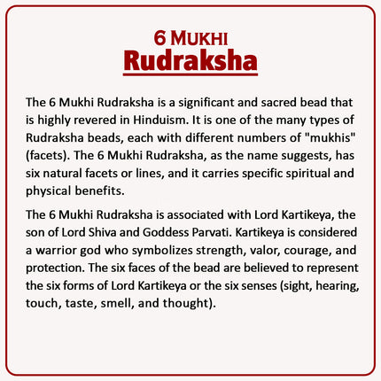 6 Mukhi Rudraksha – Blessed by Lord Kartikeya | Authentic 18-20mm Rudraksha for Courage, Leadership & Positive Energy | Meditation & Spiritual Growth Bead