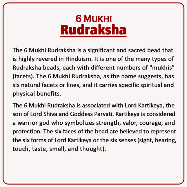 6 Mukhi Rudraksha – Blessed by Lord Kartikeya | Authentic 18-20mm Rudraksha for Courage, Leadership & Positive Energy | Meditation & Spiritual Growth Bead