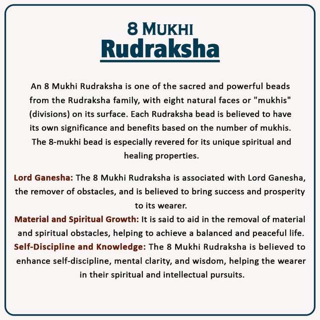 Eight (8) Mukhi Rudraskha | Natural Eight Face Rudraksha for Spiritual Growth, Success & Healing – Energized Rudraksha Bead