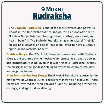 Natural 9 Mukhi Rudraksha Bead | Energized Nine Face Rudraksha for Spiritual Protection, Success & Healing – Symbol of Goddess Durga
