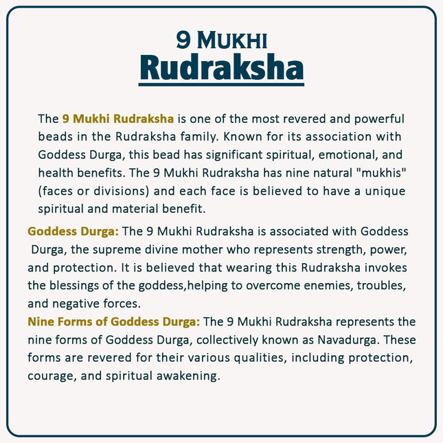 Natural 9 Mukhi Rudraksha Bead | Energized Nine Face Rudraksha for Spiritual Protection, Success & Healing – Symbol of Goddess Durga