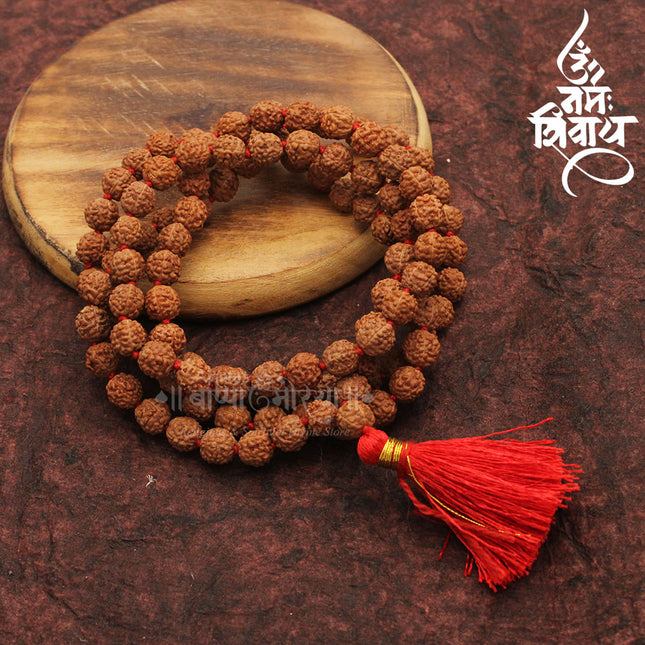 Divine 108 Beads Rudraksha Natural Seed Prayer Beads Rudraksha  Powerful Rudraksha Mala for Positive Vibes, Meditation, Mantra Japa Mala, Shiv Blessings( Approx. 19 Inches Length)