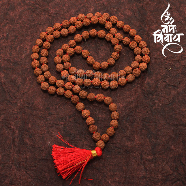 Divine 108 Beads Rudraksha Natural Seed Prayer Beads Rudraksha  Powerful Rudraksha Mala for Positive Vibes, Meditation, Mantra Japa Mala, Shiv Blessings( Approx. 19 Inches Length)