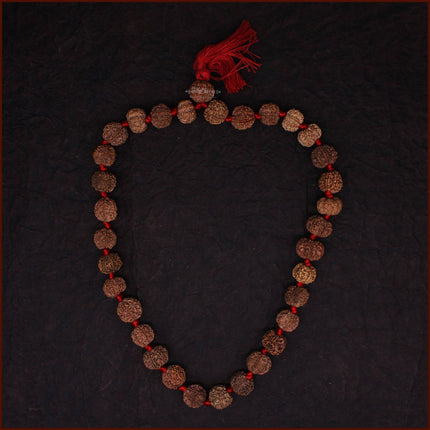 7 Mukhi Rudraksh Siddha Kantha Mala Saat Mukhi Rudraksha Kantha (32+1 Beads) Sapta Sade Sati Shani Dosha Nivaran | Lakshmi Blessings | Original Saat Mukhi Rudraksha Mala