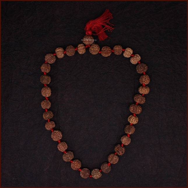 7 Mukhi Rudraksh Siddha Kantha Mala Saat Mukhi Rudraksha Kantha (32+1 Beads) Sapta Sade Sati Shani Dosha Nivaran | Lakshmi Blessings | Original Saat Mukhi Rudraksha Mala