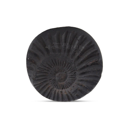 Vivasvan Lord Vishnu Small Shaligram Shila – Sacred Pooja Stone Authentic Vivasvan Lord Vishnu Shaligram – Small Sacred Stone for Worship