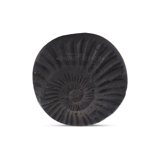 Vivasvan Lord Vishnu Small Shaligram Shila – Sacred Pooja Stone Authentic Vivasvan Lord Vishnu Shaligram – Small Sacred Stone for Worship