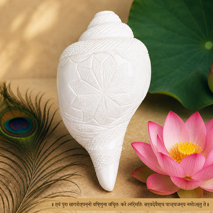 Hand Carved Sacred Shankha पद्म शंख (Padma Shankha) Big Blowing Aarti Shankh Lotus Engraved White Conch Shell