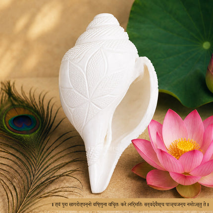 Hand Carved Sacred Shankha पद्म शंख (Padma Shankha) Big Blowing Aarti Shankh Lotus Engraved White Conch Shell