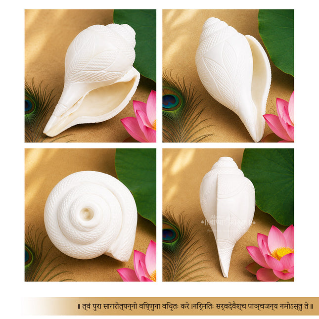 Hand Carved Sacred Shankha पद्म शंख (Padma Shankha) पूजेसाठी Bajne Wala Shankh Big Blowing Aarti Shankh Lotus Engraved White Conch Shell