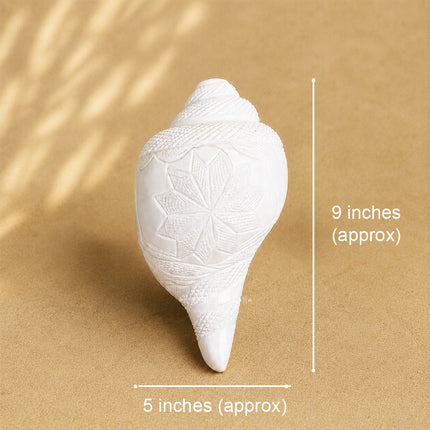 Hand Carved Sacred Shankha पद्म शंख (Padma Shankha) Big Blowing Aarti Shankh Lotus Engraved White Conch Shell