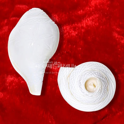 Bajane Wala Shankh for Puja & Aarti | Original Blowing Conch Shell for Temple & Home Worship | Natural Sounding Shankh for Auspicious Rituals