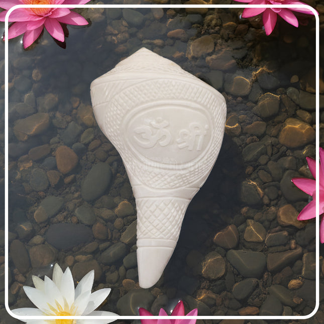 Om Shree Laxmi Devi Right Hand Shankh | Right Hand Shankh for Abhishek & Daily Puja | Auspicious Conch for Home Temple