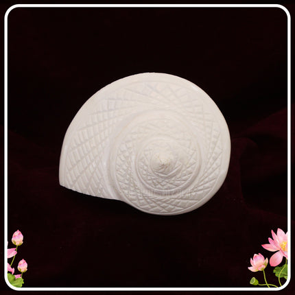 Om Shree Laxmi Devi Right Hand Shankh | Right Hand Shankh for Abhishek & Daily Puja | Auspicious Conch for Home Temple