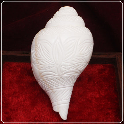 Exclusive Bajne Wala Shankh with Shree Lakshmi Kamal Design | Big Premium Sacred Conch for Puja & Temple Worship