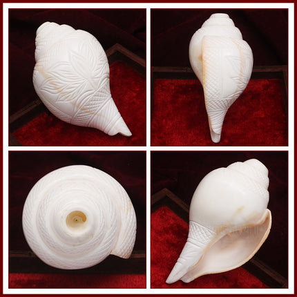 Exclusive Bajne Wala Shankh with Shree Lakshmi Kamal Design | Big Premium Sacred Conch for Puja & Temple Worship
