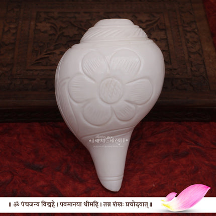 दिव्य ध्वनी नैसर्गिक शंख - मंदिर आणि पूजेसाठी पवित्र शंख