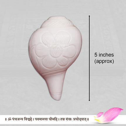 दिव्य ध्वनी नैसर्गिक शंख - मंदिर आणि पूजेसाठी पवित्र शंख