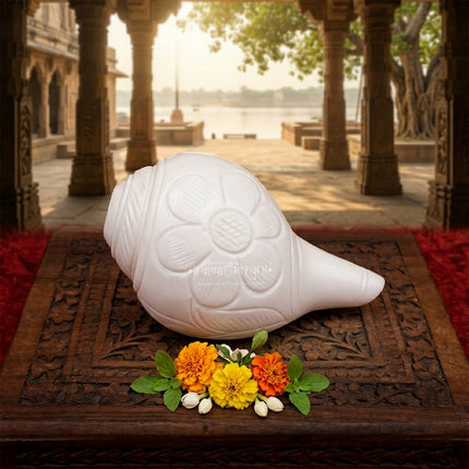 दिव्य ध्वनी नैसर्गिक शंख - मंदिर आणि पूजेसाठी पवित्र शंख