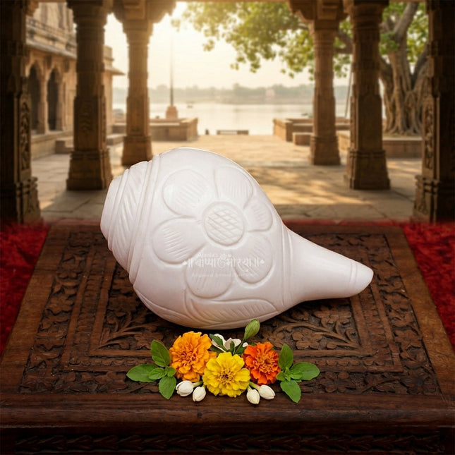 दिव्य ध्वनी नैसर्गिक शंख - मंदिर आणि पूजेसाठी पवित्र शंख