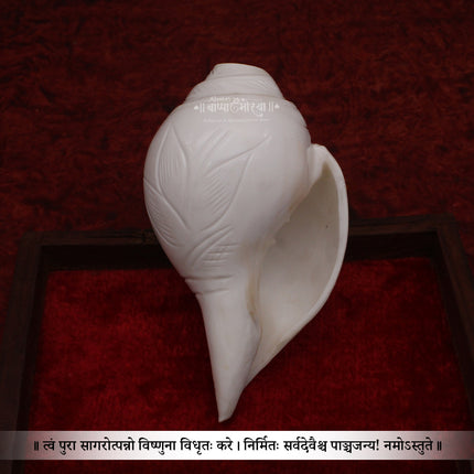 निवडक नैसर्गिक वाजवणारे शंख - पारंपारिक वाजवणारे शंख, पारंपारिक हिंदू वाजवणारे शंख | पूजा, आरती आणि उपासनेसाठी नैसर्गिक शंख