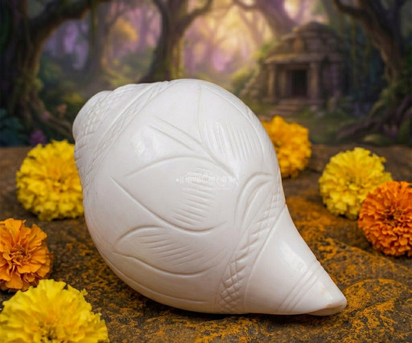 Traditioneller Shankha Mit Girlan Für Durga Puja Rituale, Shankha Traditioneller Shankha Mit Girlan Für Durga Puja Rituale, Shankha