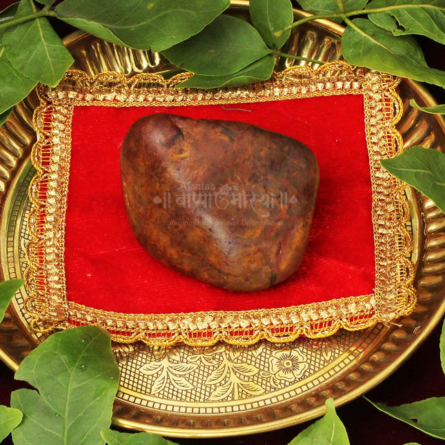 Divine Shiv Shila – Sacred Stone of Lord Shiva for Energy, Protection, and Spiritual Harmony | Natural Holy Shaligram for Puja, Meditation & Home Temple Décor