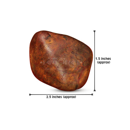 Divine Shiv Shila – Sacred Stone of Lord Shiva for Energy, Protection, and Spiritual Harmony | Natural Holy Shaligram for Puja, Meditation & Home Temple Décor