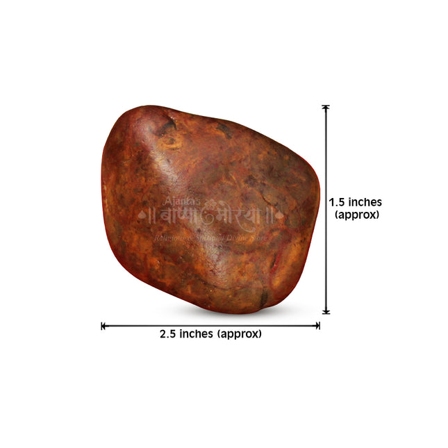 Divine Shiv Shila – Sacred Stone of Lord Shiva for Energy, Protection, and Spiritual Harmony | Natural Holy Shaligram for Puja, Meditation & Home Temple Décor