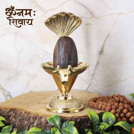 अखंड ब्रह्मांडेश्वर त्रिलोचन-विभूती शृंगार धारण शिव शक्ती शिवलिंगम