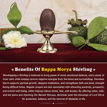 Rudra Dev Narmada Shivling – Yonibase with Natural Narmadeshwar Stone Shivalingam for Home Temple & Mahadev Brass Shivling  Abhishek Puja (Size 2)