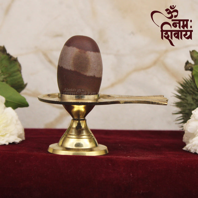 Tripunda Trilochana Natural Rare Narmada Mahakal Shivling for Puja & Abhishek